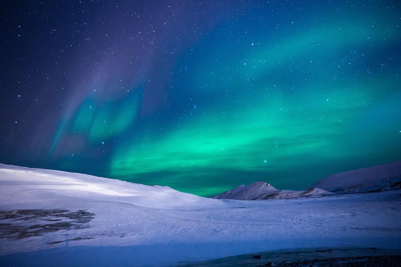 Aurora Delights