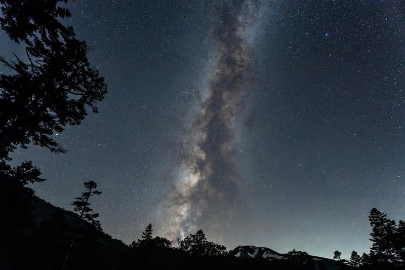 Galactic Garden